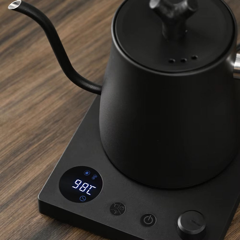 Electric Kettle Temperature Control - Электрический чайник с изогнутым носиком 1000